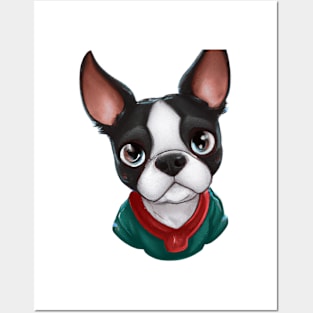 Cute Boston Terrier Drawing Posters and Art